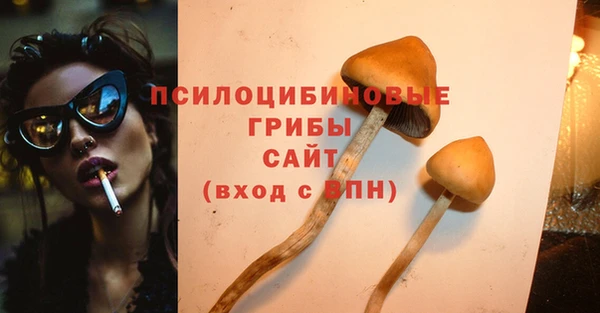 мескалин Покачи