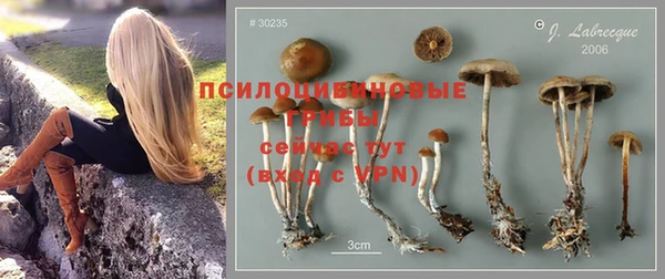 ешки Покровск