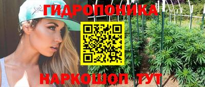 прущие крисы Заводоуковск