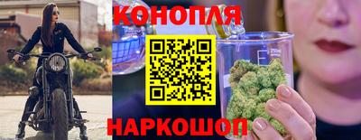 гашик Жуковский