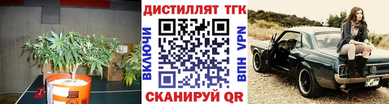 ТГК Wax Торжок