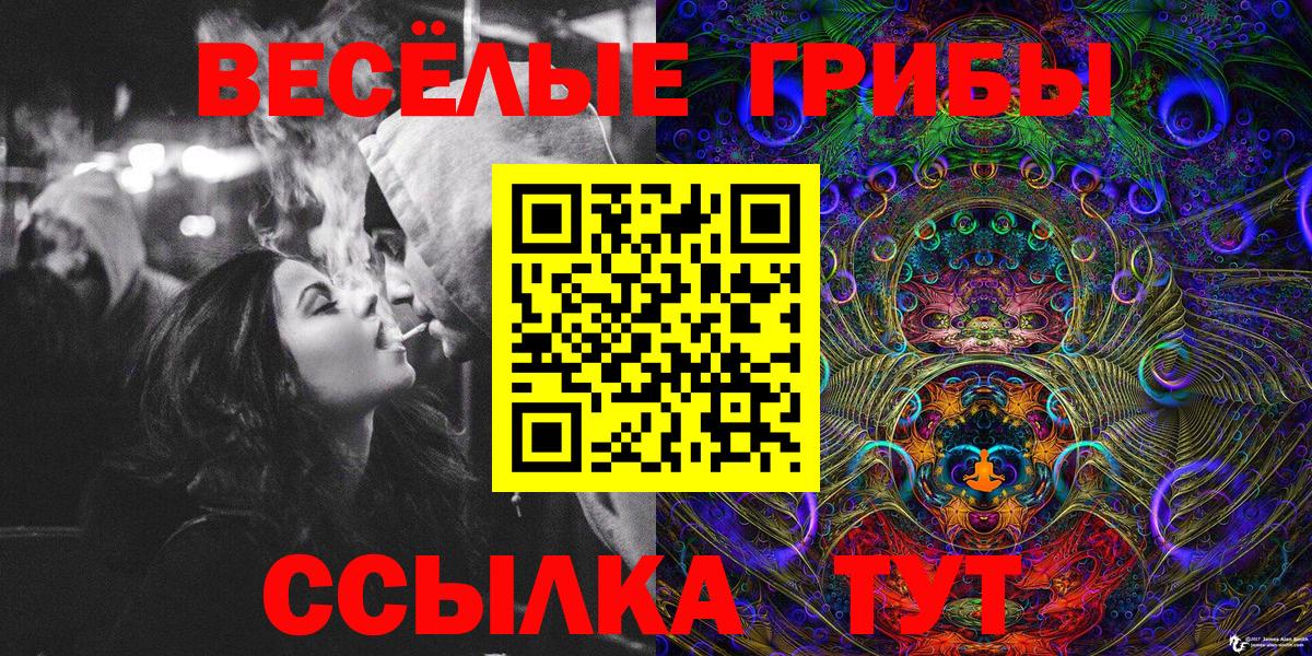 Галлюциногенные грибы GOLDEN TEACHER Торжок