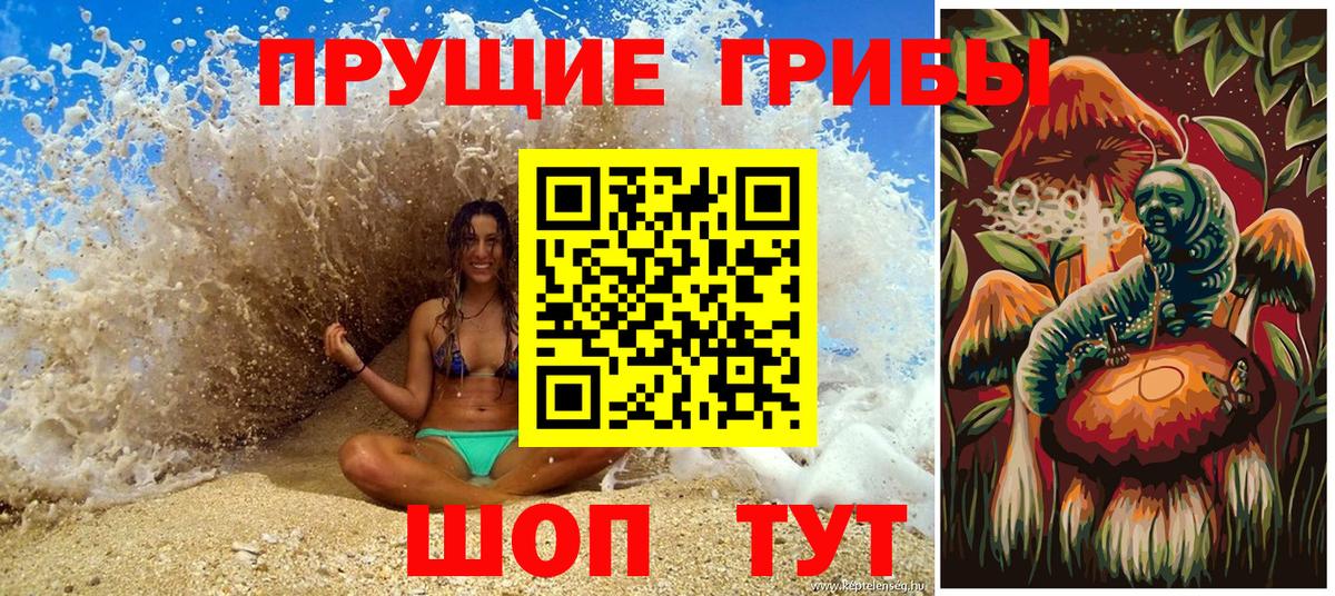 Псилоцибиновые грибы мицелий  наркотики  Торжок  Вход с VPN 